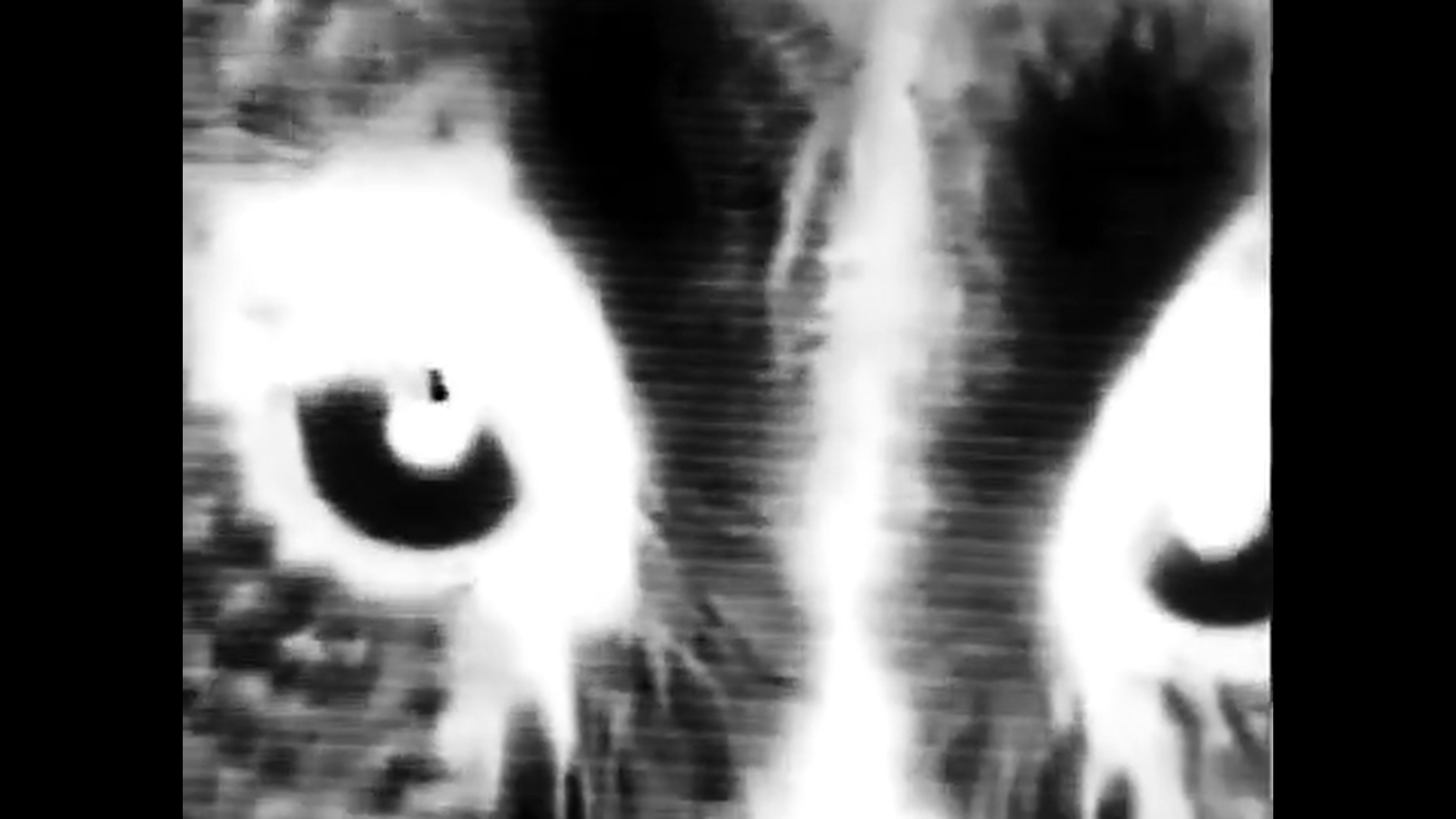 De-signer — Superstition still 02